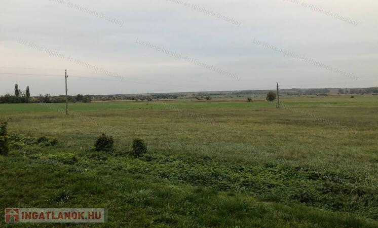 Eladó 5441 m2-es külterület Csákváron