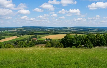 Eladó telek/földterület
