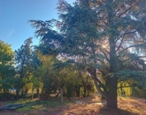 Eladó családi ház Cserkút 64 900 000 Ft