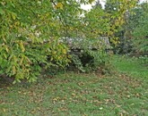 Eladó ipari ingatlan Miskolc 45 000 000 Ft