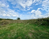 Eladó családi ház Felsőlajos 56 800 000 Ft