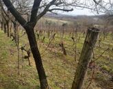 Eladó üdülő/nyaraló Zalaszentlászló 45 000 000 Ft