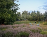 Eladó családi ház Kulcs 95 000 000 Ft