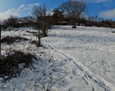 Panorámás zártkert Felsőörsön