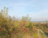 Eladó telek/földterület Zalabér 2 500 000 Ft