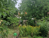 Eladó családi ház Tatabánya 29 000 000 Ft