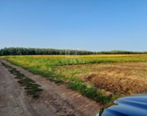 Eladó telek/földterület Hajdúnánás 12 875 000 Ft