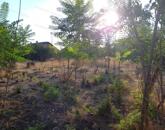 Eladó 2238 m²-es, megosztható belterületi telek Jászkiséren, bontandó házzal