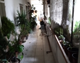 Eladó családi ház Vaskút 16 000 000 Ft