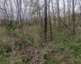 Eladó telek/földterület Karancsalja 5 000 000 Ft