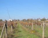 Kertes mezőgazdasági terület Vörösmálon