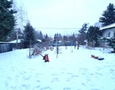 Eladó családi ház Solymár 89 000 000 Ft