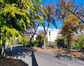 Eladó telek/földterület Debrecen 119 000 000 Ft