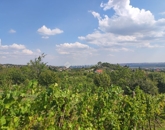 Eladó telek/földterület Pécs 9 900 000 Ft