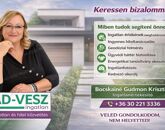 Eladó családi ház Alsónémedi 53 000 000 Ft