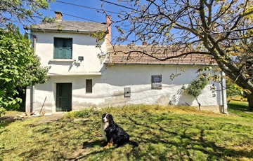 Eladó üdülő/nyaraló