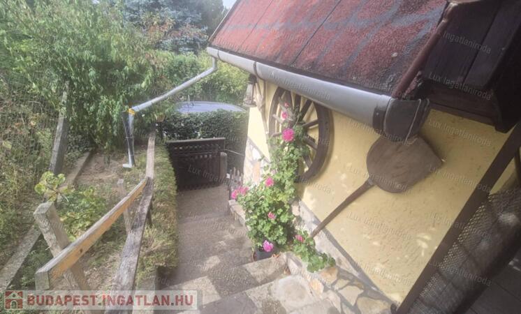 Környe- Homokdűlő eladó szőlőbirtok                                 