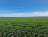 Eladó telek/földterület Kaposvár 7 900 000 Ft