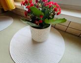 Eladó 3 szobás lakás Komárom központjában berendezéssel, klímával!