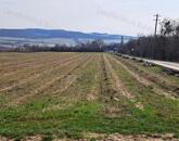 PANORÁMÁS SZŐLŐ A NIVEGY-VÖLGY SZÍVÉBEN SZENTJAKABFÁN