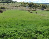 Eladó telek/földterület Varbó 5 500 000 Ft