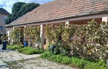 Eladó családi ház