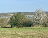 Eladó telek/földterület Alsópáhok 27 000 000 Ft