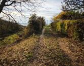 Panorámás zártkert eladó Felsőörsön
