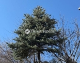 Eladó családi ház Harkány 65 000 000 Ft