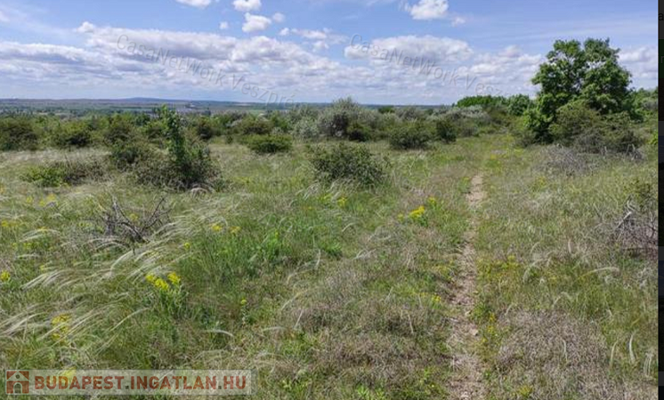 Eladó mezőgazdasági terület Veszprém vonzáskörzetében!                                 