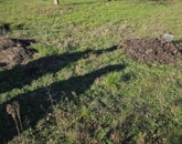 Eladó telek/földterület Tápiószele 3 500 000 Ft