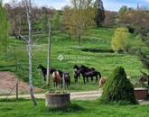 Eladó családi ház Egerág 159 000 000 Ft