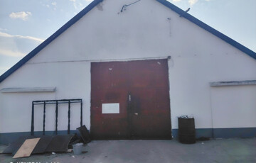 Kiadó telek/földterület