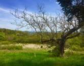 Csodálatos panorámával nagy telek ELADÓ