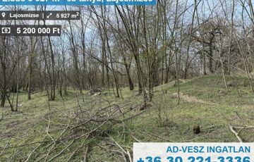 Eladó ipari ingatlan