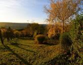 Eladó családi ház Zalaegerszeg 15 700 000 Ft