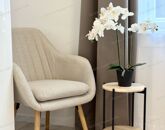 Kiadó lakás Budapest VI. ker 280 000 Ft