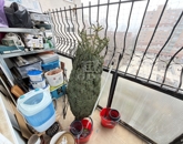 Eladó lakás Székesfehérvár 66 900 000 Ft