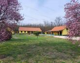 Eladó Tökéletes Tanya Nagykőrősön.