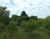 Eladó családi ház Garabonc 42 000 000 Ft