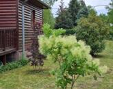 Eladó újszerű hétvégi faházas nyaraló 1100m2-es telken a Patkó utcában