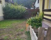 Kiadó családi ház Budakalász 340 000 Ft