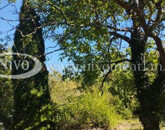 Eladó üdülő/nyaraló Veszprém 14 900 000 Ft