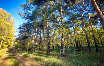 Eladó telek/földterület