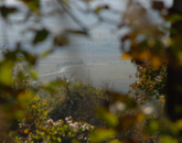 Eladó telek/földterület Köveskál 37 900 000 Ft