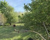 Eladó családi ház Veresegyház 73 000 000 Ft