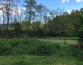 Eladó családi ház Tatabánya 140 000 000 Ft