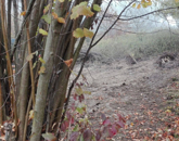 Eladó telek/földterület Ráckeve 5 600 000 Ft