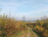 Eladó telek/földterület Zalabér 2 500 000 Ft