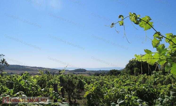 Nivegy - völgy domboldalában